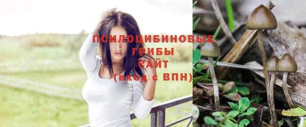 PSILOCYBIN Алексин