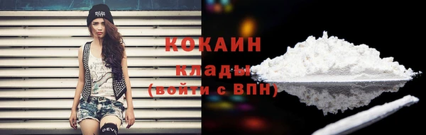 прущая мука Инсар