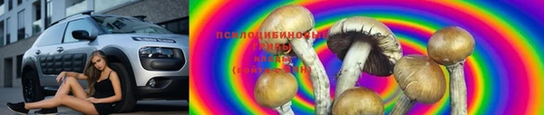 PSILOCYBIN Алексин