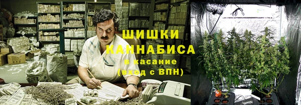 PSILOCYBIN Алексин