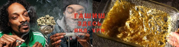 стафф Алзамай