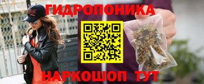 шишки Нягань