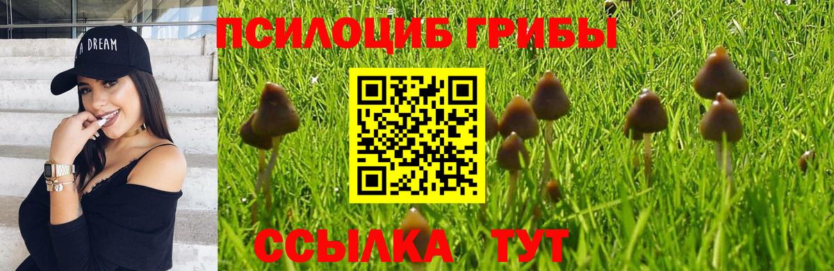 Псилоцибиновые грибы MAGIC MUSHROOMS  сколько стоит  Новочеркасск  Вход с VPN 