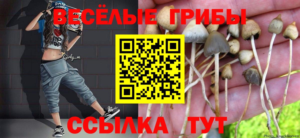 Галлюциногенные грибы прущие грибы Новочеркасск
