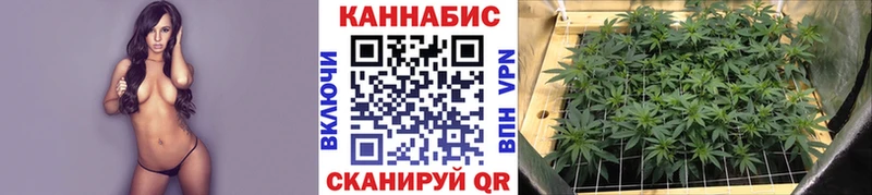 Каннабис AK-47  закладки  Новочеркасск 